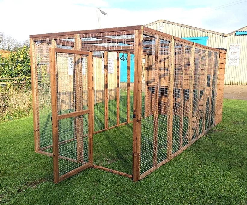 Cat Outdoor Enclosure without Shelves