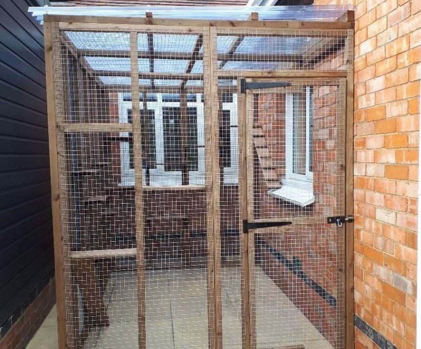 Large Catio Lean to with Clear Roof