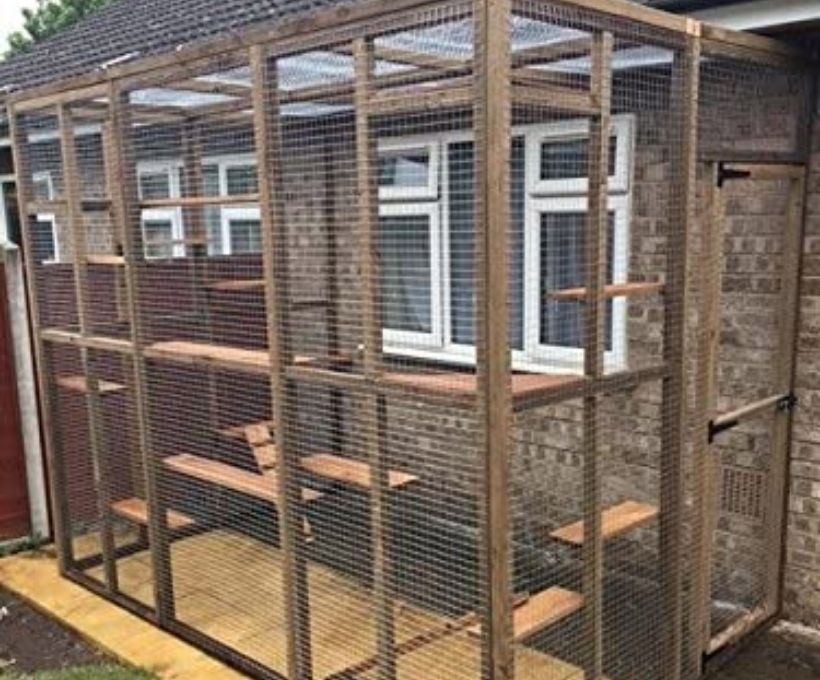 Tall Catio Secure Cat Run with Ladders and Shelves